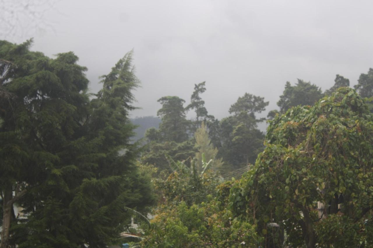 Dream Hill Homestay Nuwara Eliya Buitenkant foto