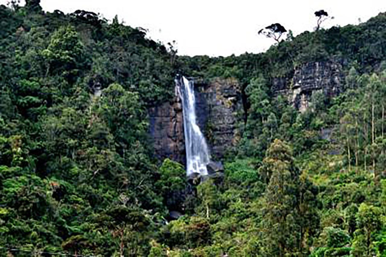 Dream Hill Homestay Nuwara Eliya Buitenkant foto