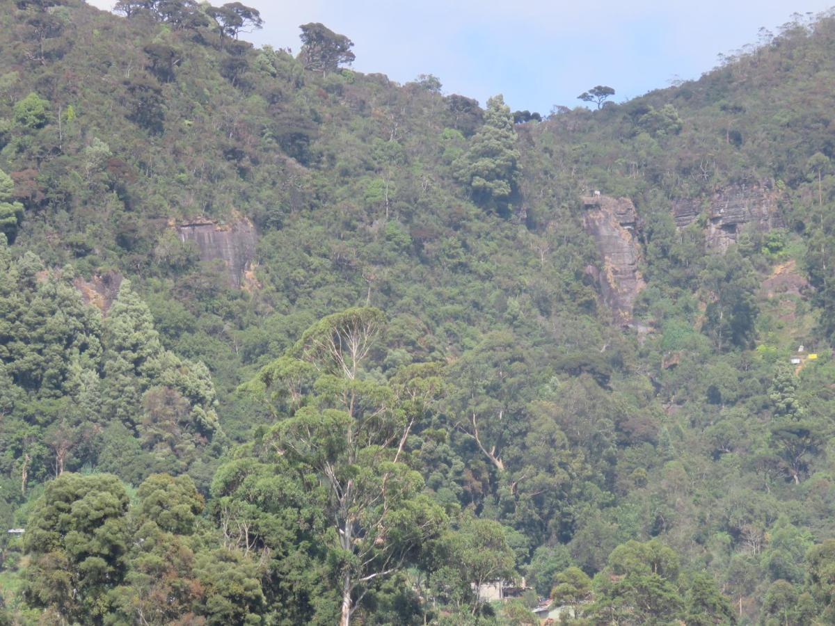 Dream Hill Homestay Nuwara Eliya Buitenkant foto