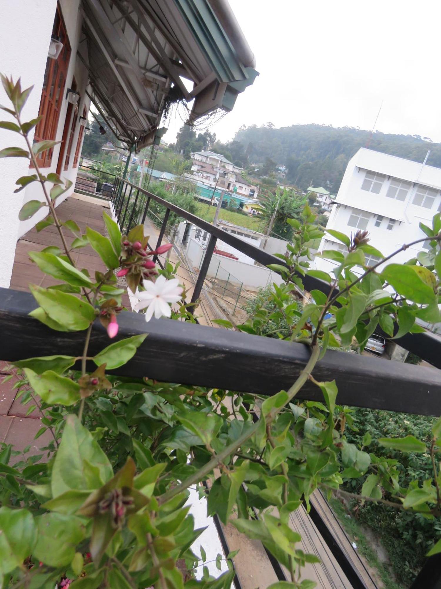 Dream Hill Homestay Nuwara Eliya Buitenkant foto